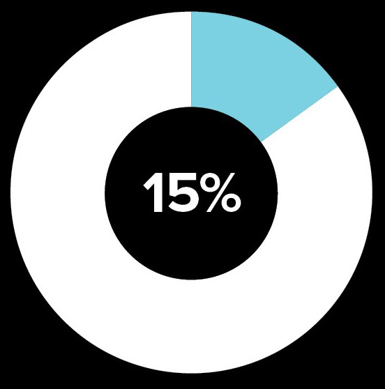 pie chart represents 15%