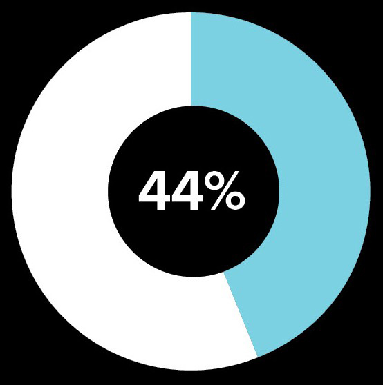 pie chart represents 44%